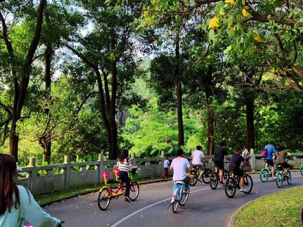 广州番禺的骑行圣地大夫山森林公园,占地9000亩,空气清新风景好美 #硬核探索之旅 #广州网红打卡地 #骑行