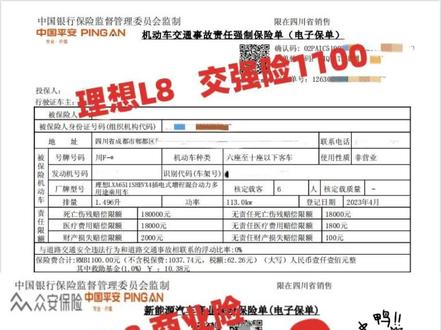 成都理想L8全车险仅5700 三责险300万 还有8次免费的增值服务#理想L8 #理想l9 #理想one #车险 #车险小知识