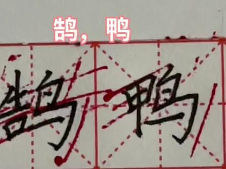 右偏旁:13鹄,鸭#每日一练 #硬笔书法 #同城热点 #创作者扶持计划 #家长收藏孩子受益 #࿆每天坚持练字