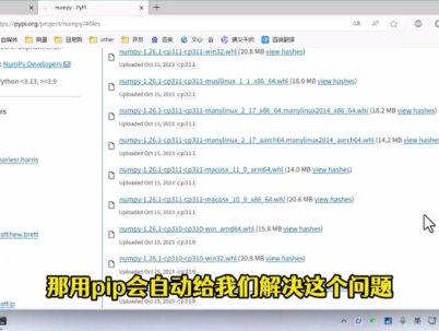 找pip包的详细信息 #python #python编程 #pip安装教程 #pip安装 #python基础