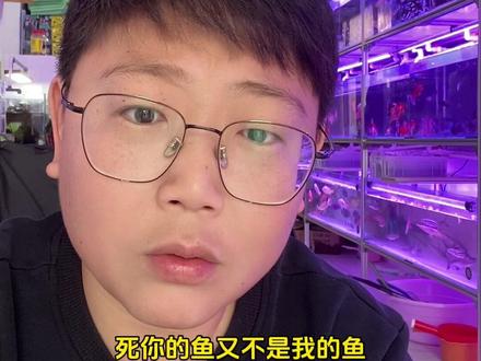 养鱼到底用不用加热棒?#养鱼人 #水族店