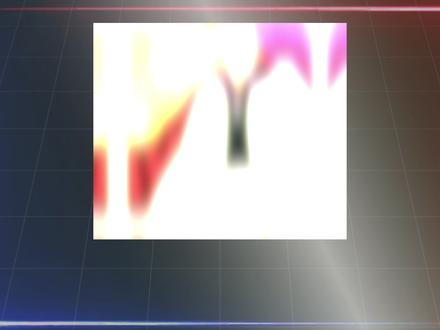 《涅大全形态盘点》 这小可爱长得可真东西!快把魔胎伏印正体做出来给我,我们打系就爱玩这个! #境界刀鸣 #境界刀鸣攻略