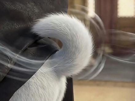 同名小说《满门 妖王宠我》 同名小说《满门 妖王宠我》 第08集 宗门大会 #ai动画 #ai动漫 #原创动画