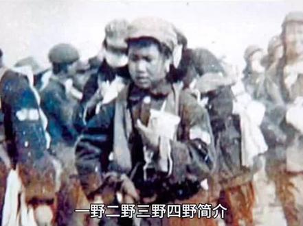 #抖音创作者大会话题 四大野战军#历史 @红歌历史