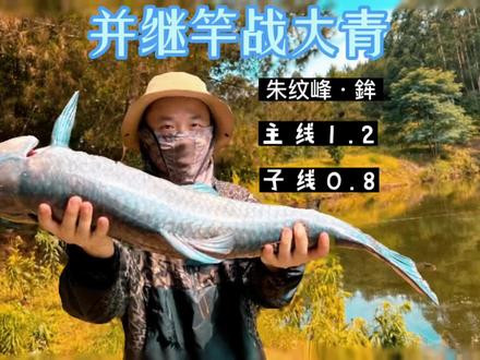 并继竿 战大青 禧玛诺·朱纹峰·鉾13.5尺#黑拉钓法 #并继竿 #2022dou来钓鱼 #钓鱼人 #钓鱼的乐趣只有钓鱼人懂