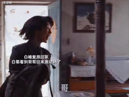 白椿想要留在巡山队。#生命树 #生命树好嗑又共情