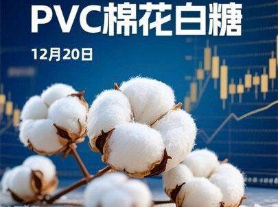 12月20日PVC,棉花,白糖应该注意哪些关键位置! #PVC期货 #棉花期货 #白糖期货 #期货行情 #韭菜 @PVC@棉花@白糖