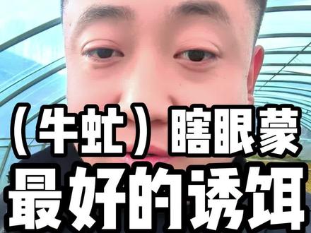抓牛虻最好的饵料,也是最简单的方法