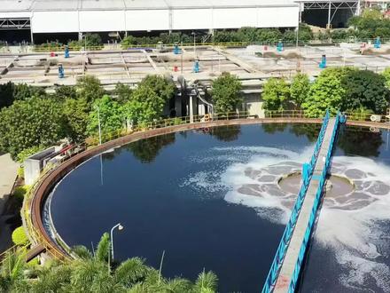 处理污水中,水处理磷的好方法有哪些#创作灵感#污水处理 #磷 #污水处理 #工业废水处理 #抖音小助手dou上热门