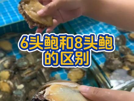 最近有个别客户问6头鲍鱼和8头鲍鱼的区别,这种叫法是什么意思呢?