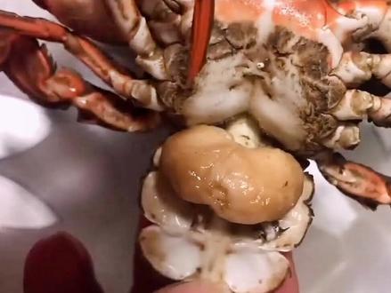 吃螃蟹的时候注意这种僵尸蟹!这不是蟹黄也不是蟹籽,大家不要吃,这其实是一种能让螃蟹变成僵尸螃蟹的寄生虫——蟹奴#蟹奴 #僵尸蟹 #科普 #冷知识 #神奇动物在抖音