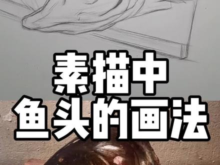 素描中鱼头的画法#昆明画室 #昆明绘画培训 #昆明素描画 #昆明素描画 #零基础学画画 #昆明中考美术培训 #昆明学画画 #昆明美术培训学校 #昆明高考集训画室
