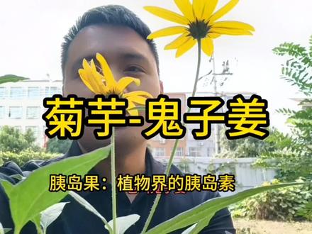 #新农人计划2023 #农村生活 #记录真实生活 #农村 #菊芋 一种儿时回忆满满的菜,外国泛滥成灾,被我们吃到需要种植才会有的植物。