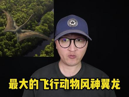 为什么史前生物都那么巨大? #科普一下 #动物世界 #史前生物