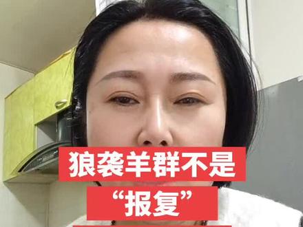 狼袭羊群不是“报复”!读懂《狼图腾》,才懂草原的生存法则#狼袭击羊群 #草原狼#呼伦贝尔狼#真实分享计划#日常唠嗑