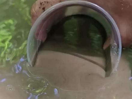 如何在野外获得干净水源 #野外生存 #科普