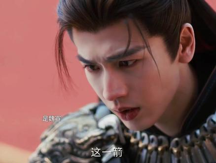 原来魏宣不是魏严的儿子,是当年救了他们母子