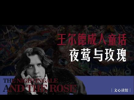 三分钟读完《夜莺与玫瑰》#知识领航者 #名著 #读书 #夜宵与玫瑰 #夜读