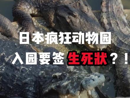 不得了了进个动物园还得签生死状了…#日本 #日本旅行 #野生动物园 @DOU+小助手