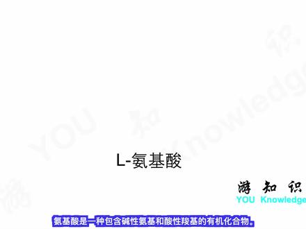 二十种氨基酸简介:从最简单的甘氨酸到最特别的脯氨酸。