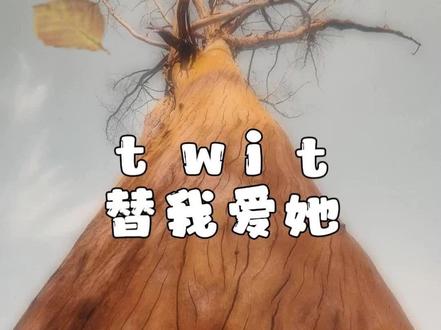 #创作灵感 #英语 #单词速记 你对你的那个她说过这句话吗?twit-傻瓜