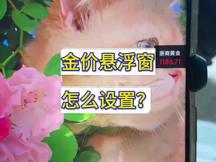 教大家设置金价悬浮窗。
