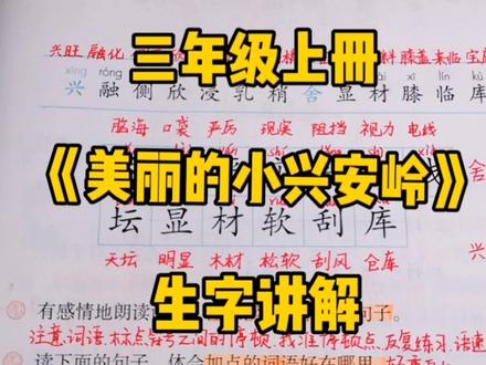三上语文:《美丽的小兴安岭》生字讲解,二十多个生字轻松学! #创作者扶持计划 #小学语文 #知识分享 #三年级语文