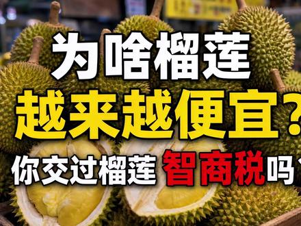 榴莲为啥越来越便宜? 千元一颗的猫山王,一夜变成白菜价。今天带你拆开高端水果背后这场持续十年的智商税公式 #猫山王 #榴莲 #智商税 #高端水果 #世界B面档案