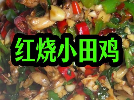 江西小炒名天下,今天来个红烧小田鸡#江西小炒 #下饭菜 #美食 #舌尖上的味道