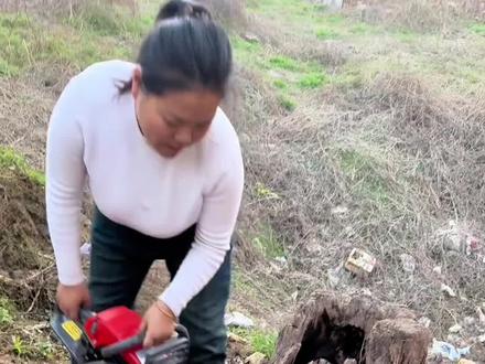 #油锯#油锯保养#油锯维修#油锯链条