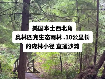 从温哥华驾驶1小时到美国边境, 不用下车5分钟过海关,再驾车3 H,#健康#进入美国本土西北角的奥林匹克自然保护区. 大到五天玩不完,这是著名的沙滩shi shi Beach的特色trail,10公里,穿行在森林中,湿地处全是木栈道架起保护生态植被#关注我带你去旅行 #森林氧吧