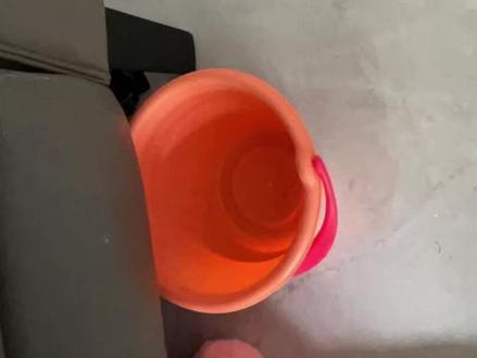 早上我用这个给蒋宇辰接尿, 他尿了三泡在里面我都没倒马桶,刚刚他说要尿尿,我赶紧去拿桶,结果里面尿没有了,我以为他不小心弄倒了,我趴在地上去找尿,我问他尿哪里去了,他说这里呢,然后他拿着刚尿的桶走到厕所 把尿到马桶了,我看马桶里还有很多尿,是他之前自己倒的,被惊喜到了,还以为被洒了一地,没想到被小小的他一滴不撒的倒马桶了#发现新大陆