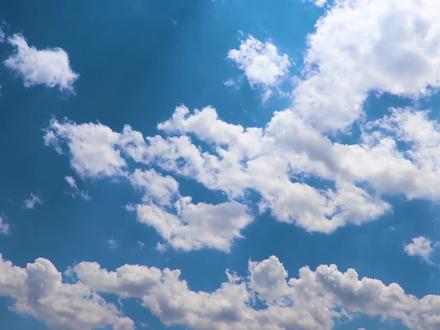 致敬!我的迷彩青春 | 用青春书写忠诚 (视频摄制:赵旭东、李子杨、胡昊)