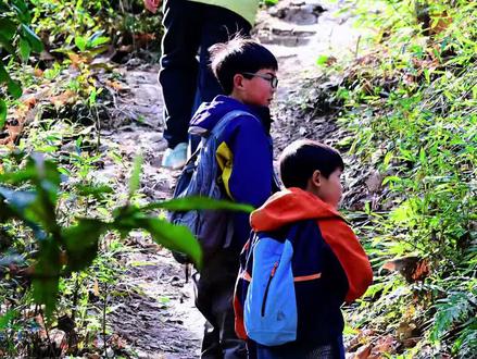 成都周边哪里能一边踏青
一边实现“野菜自由”?
强烈安利这条龙泉驿玉带湖环线
不仅有湖光山色
沿途还能收获超多野藜蒿
炒腊肉那可是一绝
满满都是春天的味道~🍃
📍自驾导航🧭小阿妹火锅
#春节没有宅家的义务 #周末去哪儿 #成都周边游 #徒步爬山 #摘野菜