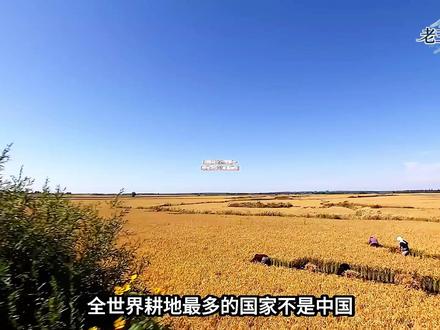 印度耕地世界第一,地理条件却藏着硬伤 #抖音精选 #印度 #农业 #看世界