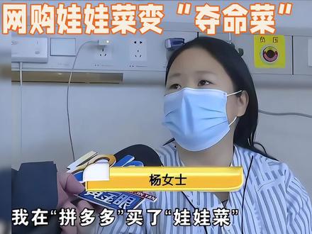 一箱平平无奇的网购娃娃菜,意外搅动了一场全民围观的舆论风暴。几天之内,剧情接连翻转:先是“吃菜中毒”,再到“丈夫投毒”,最后警方一锤定音——这不是食品安全事故,而是一出夫妻合谋、自残骗赔的闹剧。比剧情更扎心的,是它给舆论场和信息传播敲响的警钟。