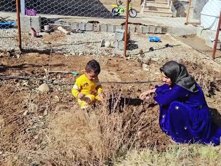 米娜打算在农场养鸡,要安装挤奶机器了,米娜在家哭了