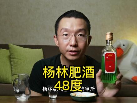 云南少有的好酒 杨林肥酒 这酒翠绿的真好看 但他真的能喝吗?#杨林肥酒 @找敬友