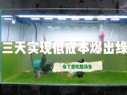 三天实现低成本爆出绿地毯