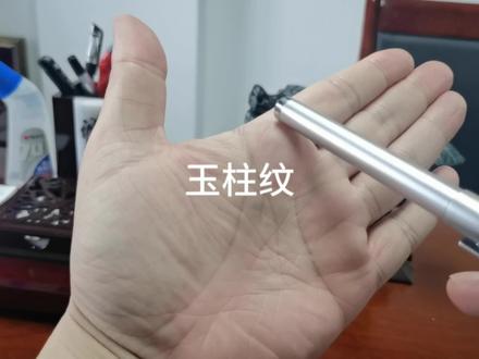 手有通天纹,家有做官人#掌纹的秘密