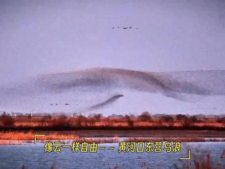 北冥有鱼,其名为鲲。鲲之
不知其几千里也;化而为鸟,其名
为鹏。鹏之背,不知其几千里也;怒
而飞,其翼若垂天之云。是鸟也,海
运则将徙于南冥。南冥者,天池也。