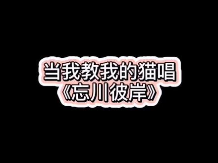 我愿为你放下全部,此生让我来渡~包子最近有点飘了!#萌宠出道计划 #猫咪 #忘川彼岸