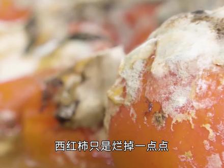 看着干净,食物里霉菌早已盘根错节(1)