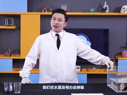 【科学第三阶段—三年级】23 鱼是怎么呼吸的?