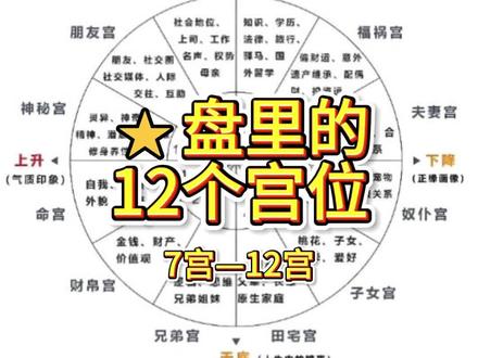 适合新手小白学习的⭐盘视频,7宫-12宫
#星盘 #星盘分析 #星盘教学 #占星 #星座