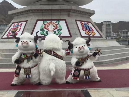 西藏吉祥物 小牛曲曲火爆出圈~
#吉祥物