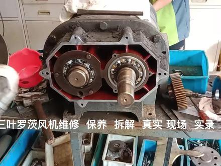 三叶罗茨风机维修保养(下集)安装 调整三叶间隙 技术经验分享 #电机 #电机拆解 #真空泵 #压缩机