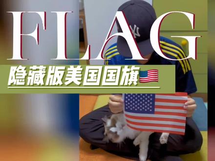 第11集 美国国旗的隐藏版#历史 #知识分享 #美国 #funwithflag #萌宠