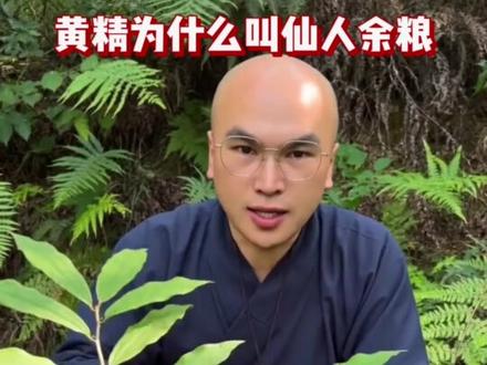 为什么黄精叫仙人余粮? 怎么区别黄精?#黄精 #九蒸九晒黄精 #仙人余粮 #多花黄精 #九华山黄精