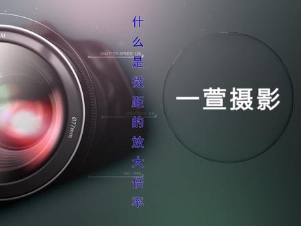 拍不好微距 那是因为微距这个知识你还不了解 小白微距摄影入门